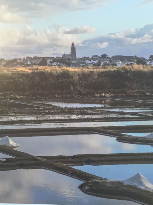 Les marais salants de la commune de Batz sur mer