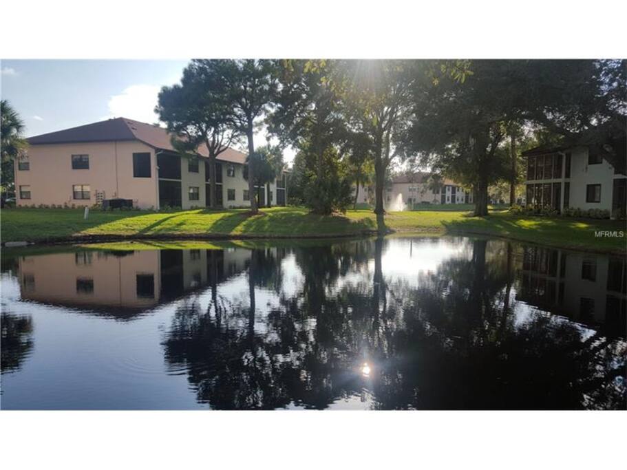 Lake view
