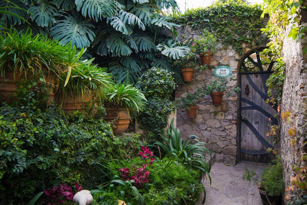 Casita Grillo Dos