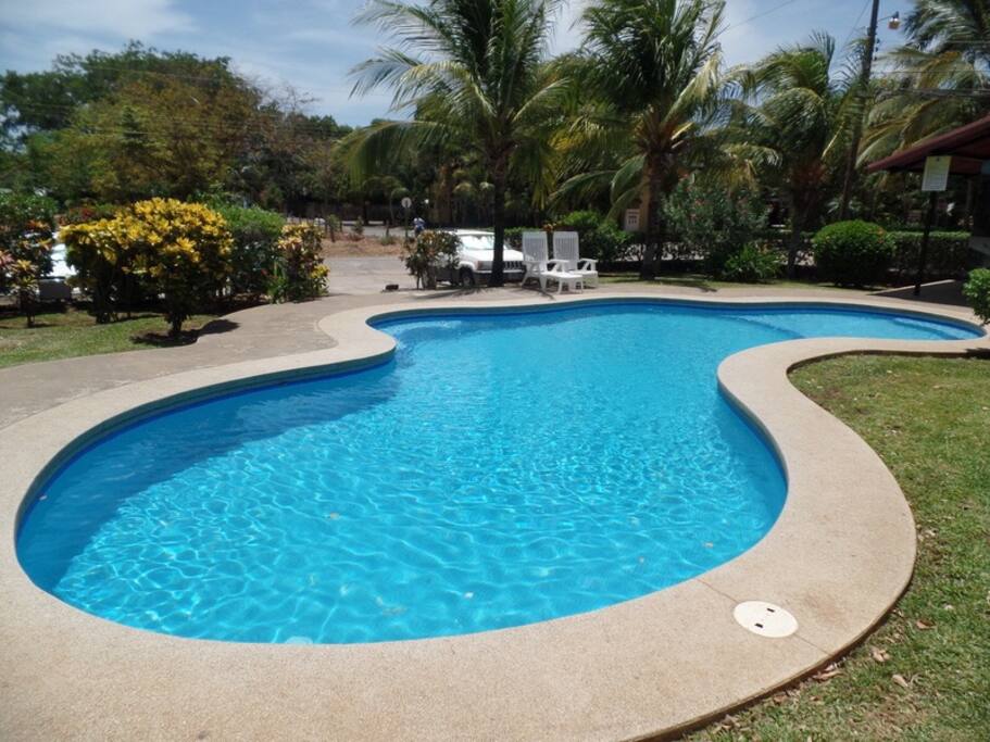 Condo Pool private for residence and guests, we have a couple chairs but I’d recommend bringing a big beach towel when catching the sun