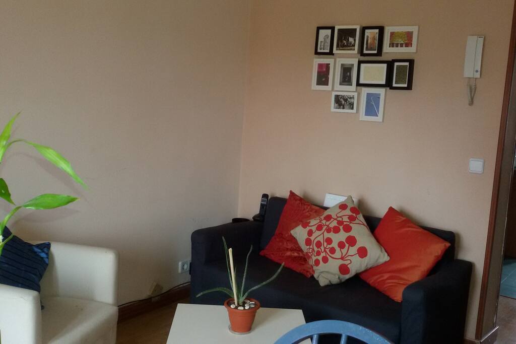 Acogedor salón