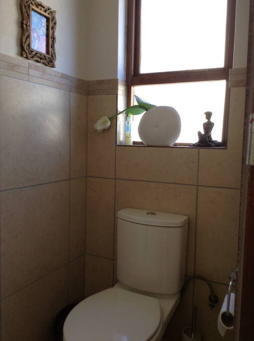 Guest toilet