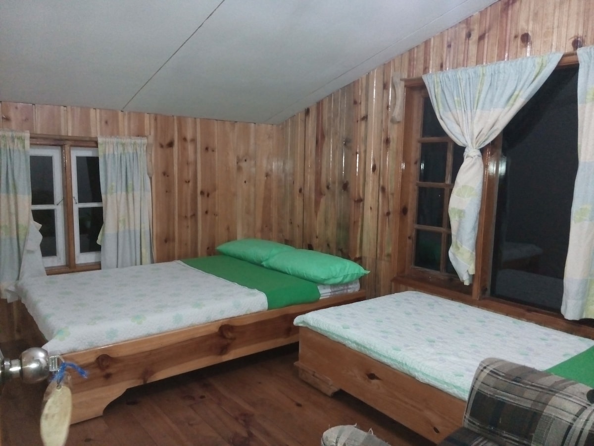 A modest bedroom features two wooden beds with light green bedding. Natural wood paneling covers the walls, complemented by light curtains. Three windows allow for natural light, while a soft rug adds warmth to the wooden floor.