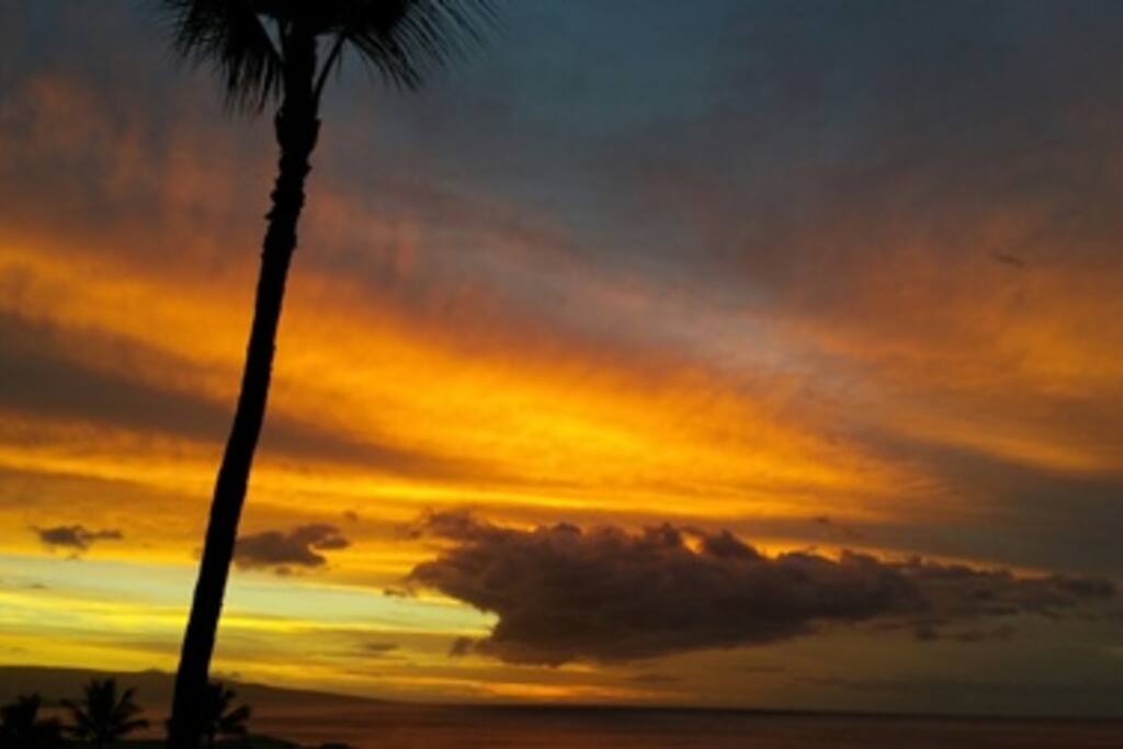 Ahhh. Aloha