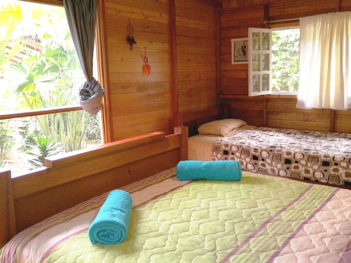 Chambre 7