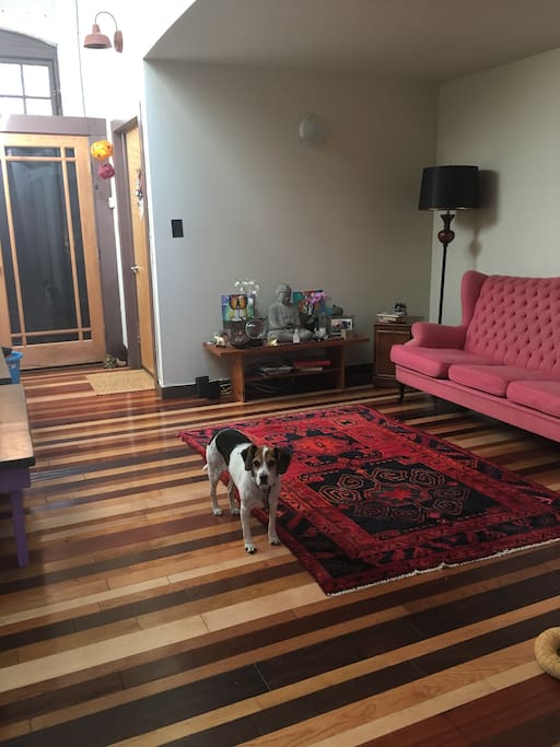 View of main entrance, living room and our dog Essie.