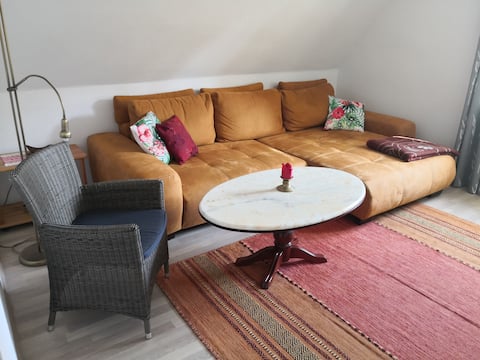 Top performing Airbnb: Cozy apartment near downtown in Wernigerode