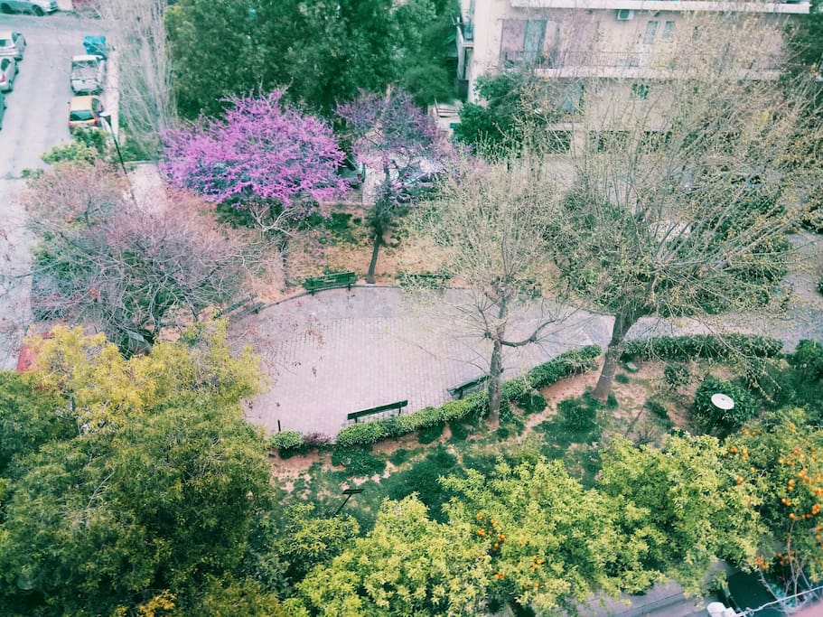 park view