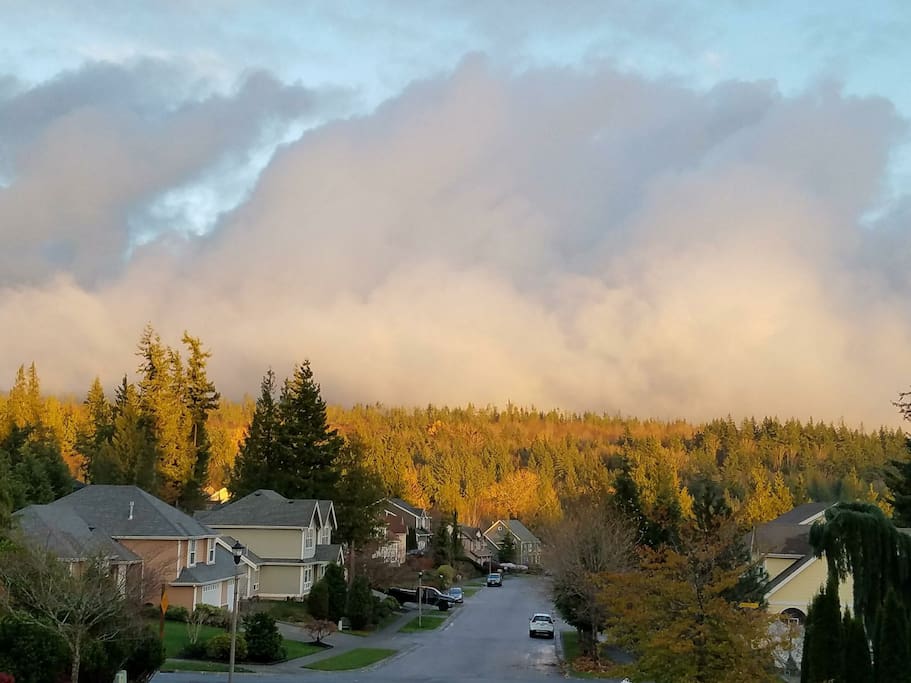 A view of our neighborhood in the shadow of Galbraith Mountain