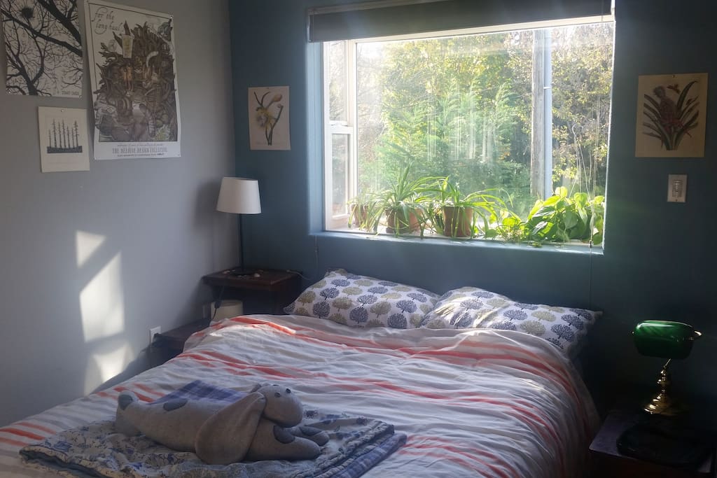 Cozy bed with morning sunshine window.