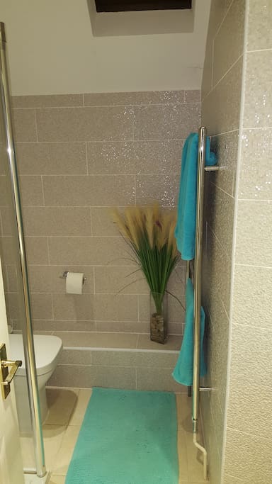Shower room for sole use of B&B guests.