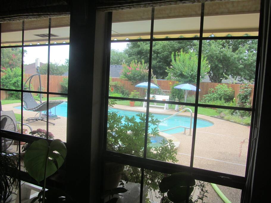 View of pool from living room