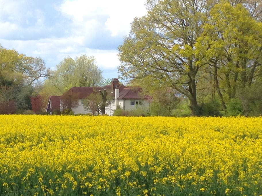 over the back field