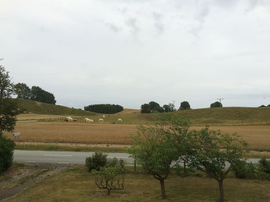 Utsikt från balkongen i söderläge