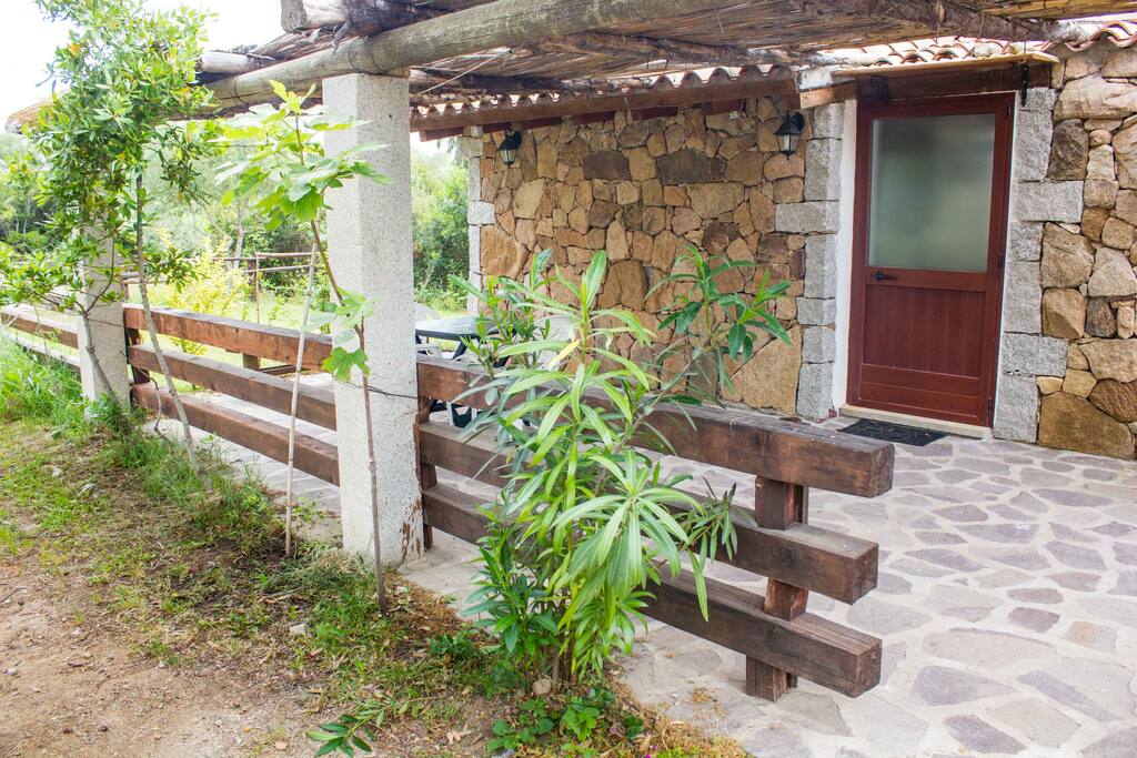 Ingresso