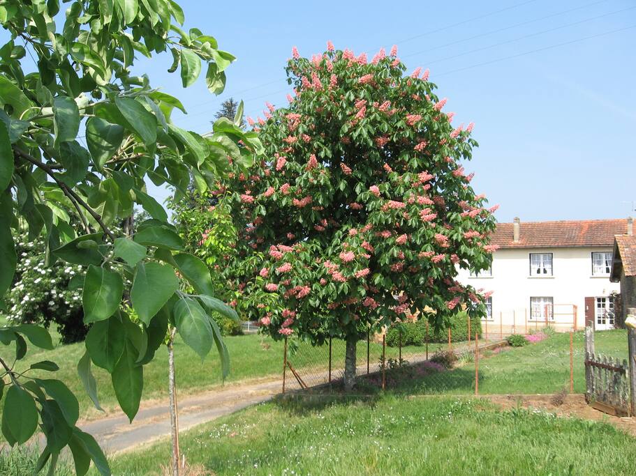 Arrivée au gîte