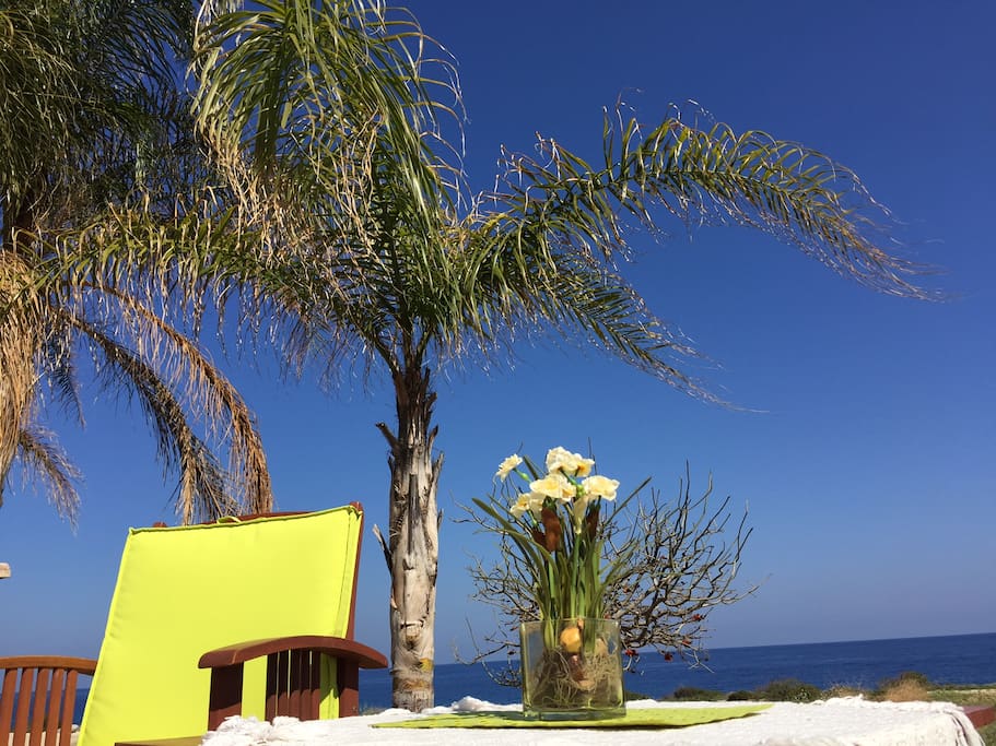The perfect spot to relax