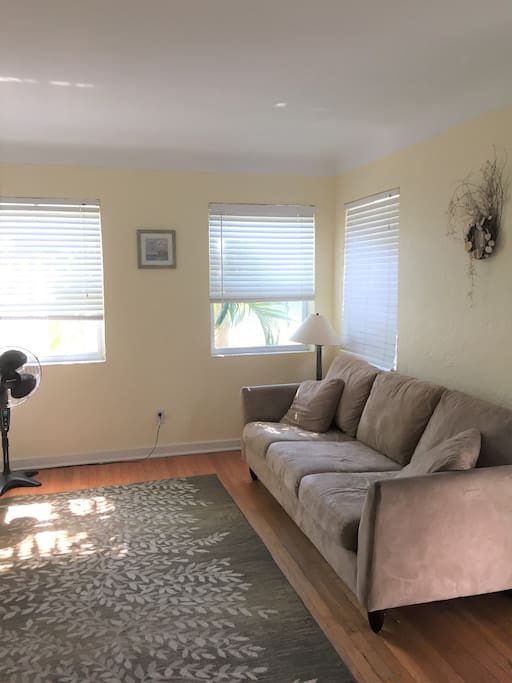 Living room with pull-out sofa
