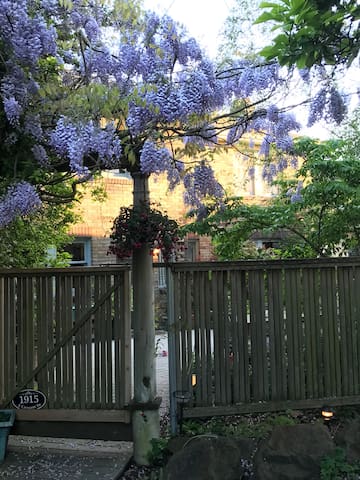 Classic Seattle 5 bedroom with all-city access