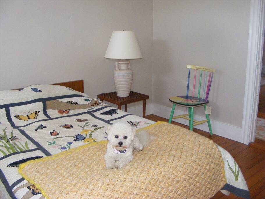 Double
Bed with adjustable mattress for firmness.