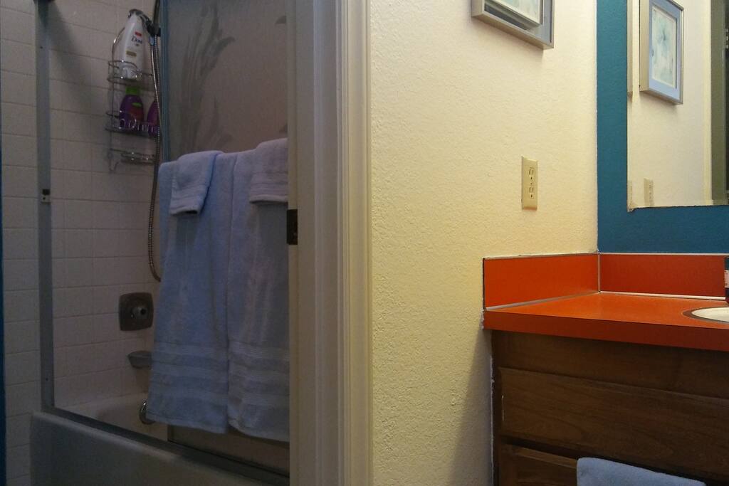 Private bath/shower and vanity.