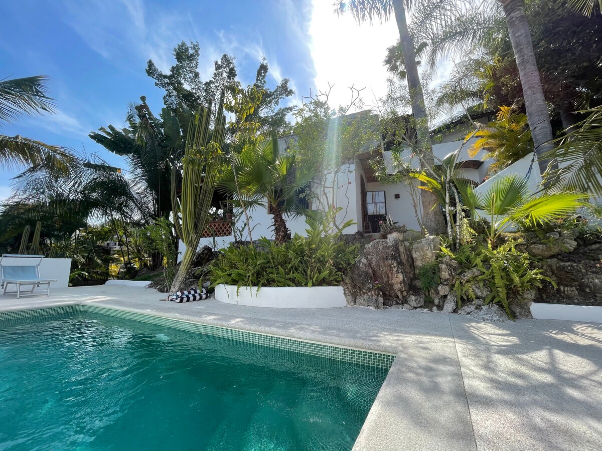 The image captures a serene outdoor setting featuring a clear swimming pool surrounded by lush tropical greenery. The white building with a thatched roof reflects sunlight, enhancing the vibrant colors of the landscape, with palm trees and plants framing the scene.
