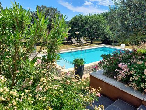 Provencal villa on 5000m2 of land and pool