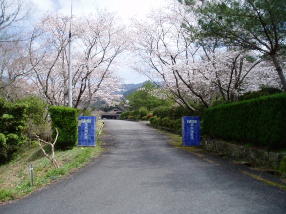 Koraku kiln in spring(25.Mar-5.Apr)