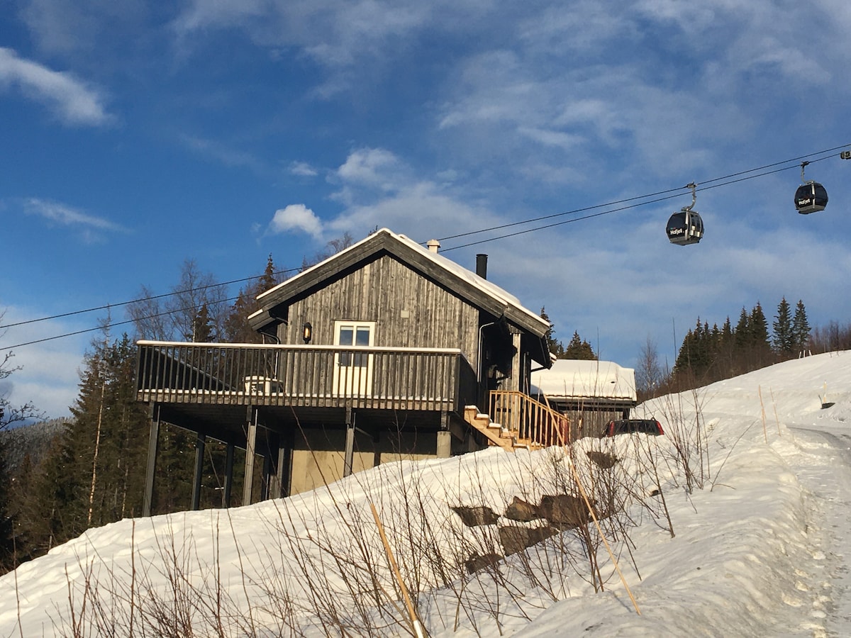 The rustic wooden cabin is set against a snowy landscape, with a spacious deck extending outward. Cable cars travel overhead, connecting the area to ski slopes. Surrounding trees add to the natural setting, and the clear blue sky enhances the scene.