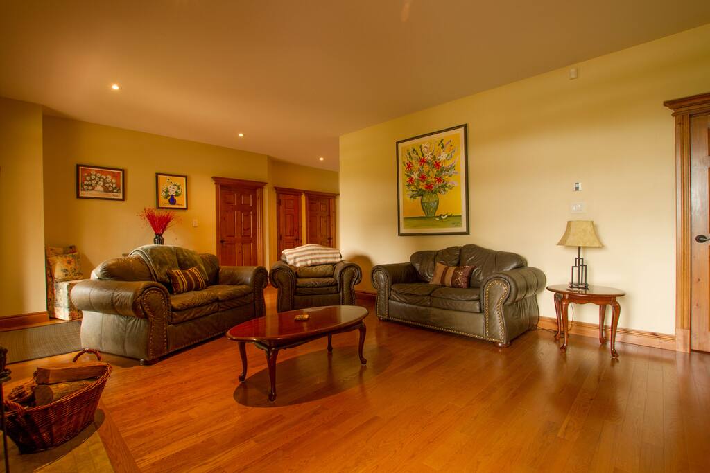 Salon / Living room