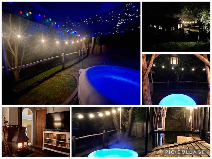 Forest Edge Log Cabin photo 2