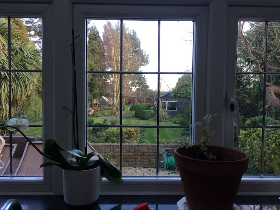 View from kitchen