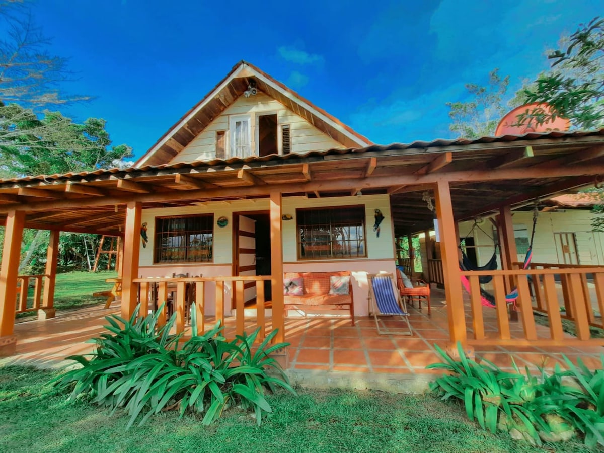 The rustic cabin is framed by lush greenery and features a spacious porch with wooden beams. A hammock hangs invitingly to the side, with a small table and chairs arranged for outdoor relaxation. The sloped roofing complements the serene mountain setting under a bright blue sky.