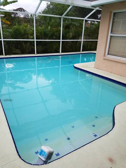 Pool professionally cleaned