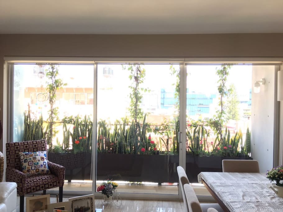 Vista desde la cocina