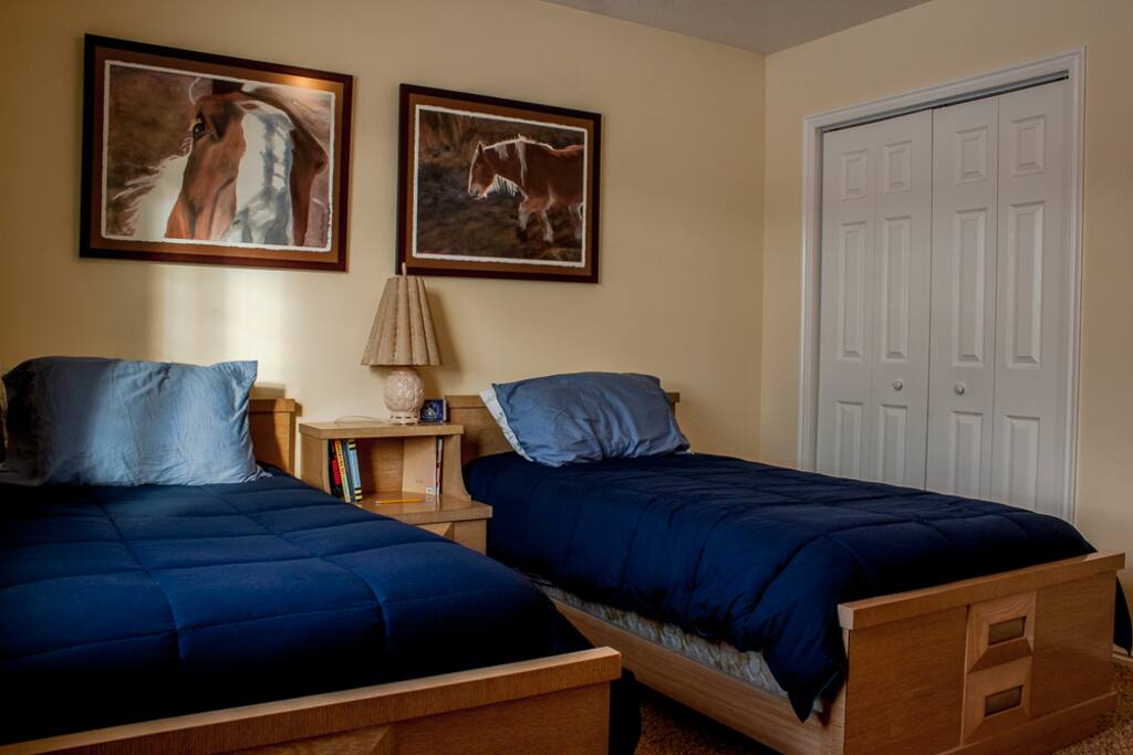 Two comfortable twin beds with two pillows for each bed.