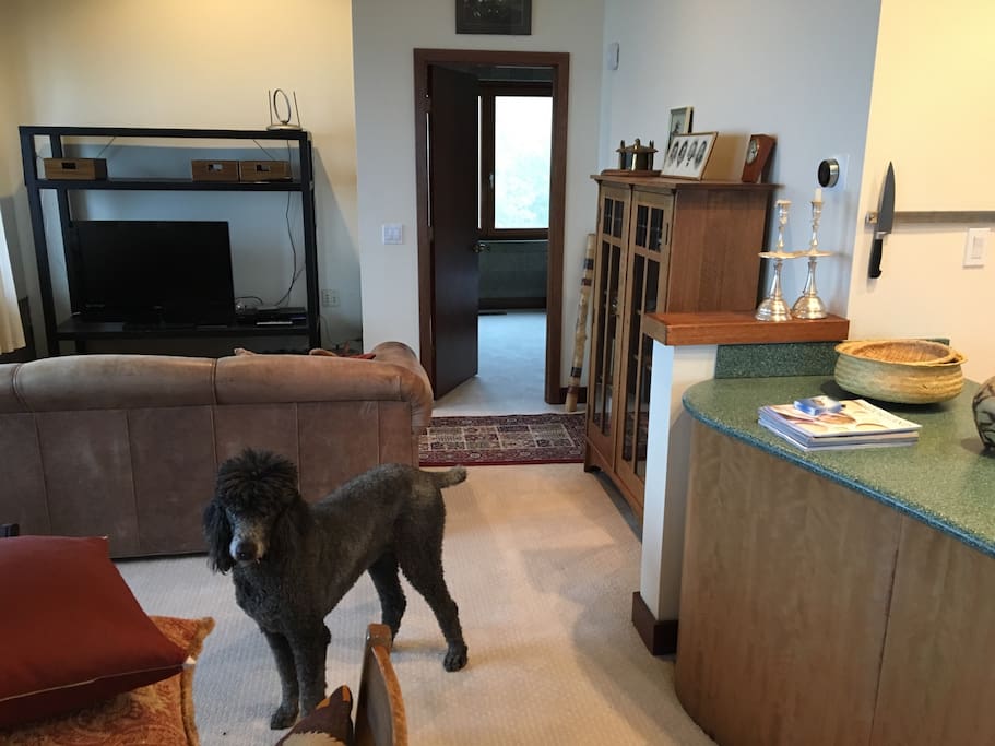 Dog does not belong in this photo.