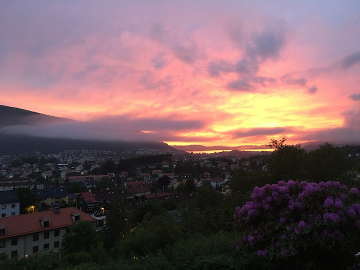 Panorama 10 Min Centrum - Bergen