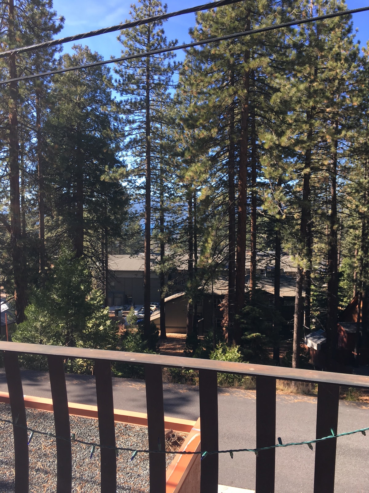 A view from a wooden deck features tall pine trees, creating a natural backdrop. A glimpse of rooftops is visible in the distance, with a hint of blue sky peeking through the branches. The scene emphasizes the peaceful, wooded surroundings.
