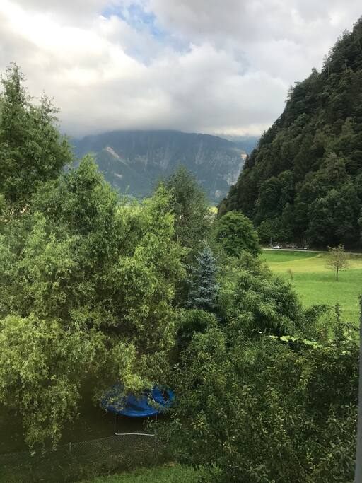 View from the room