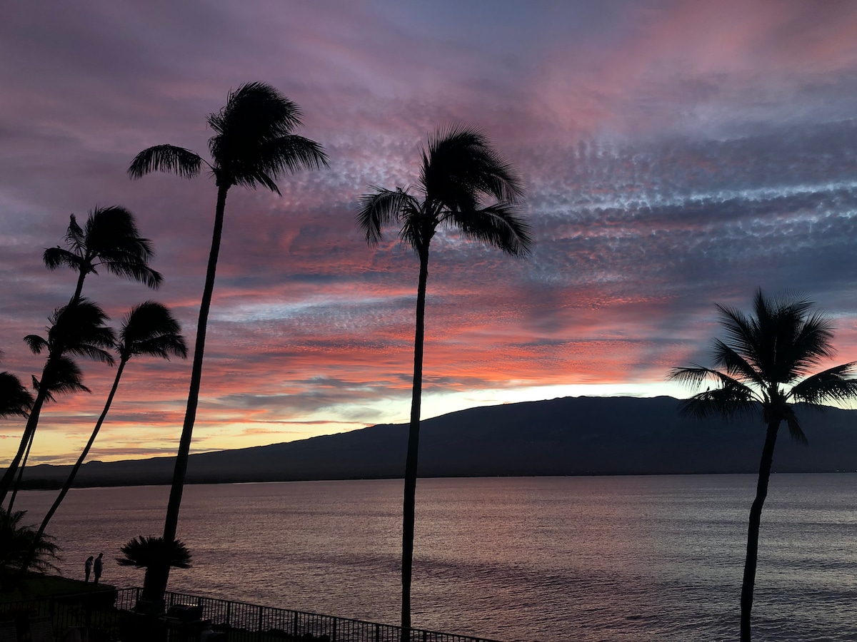 A stunning sunset casts vibrant colors across the sky above the ocean. Silhouetted palm trees frame the scene, while distant mountains provide a scenic backdrop. The calm water reflects the hues of pink, orange, and purple, creating a serene atmosphere.