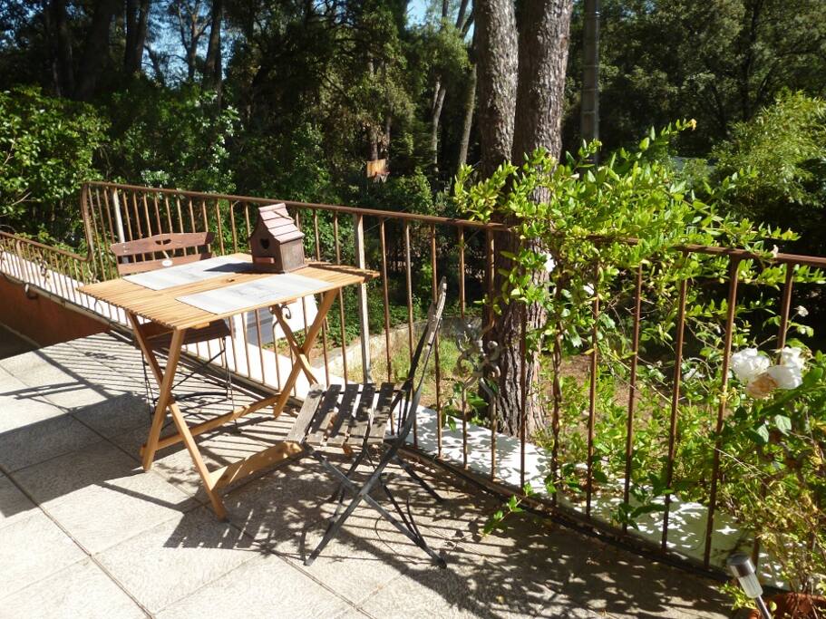 La terrasse du studio