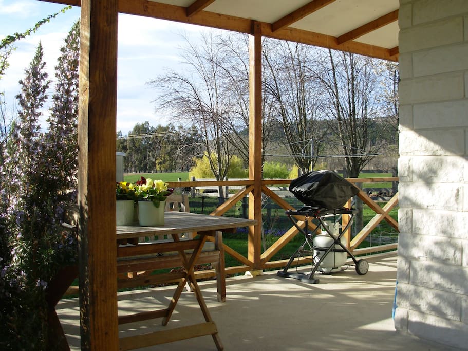 Outdoor terrace with gas barbecue