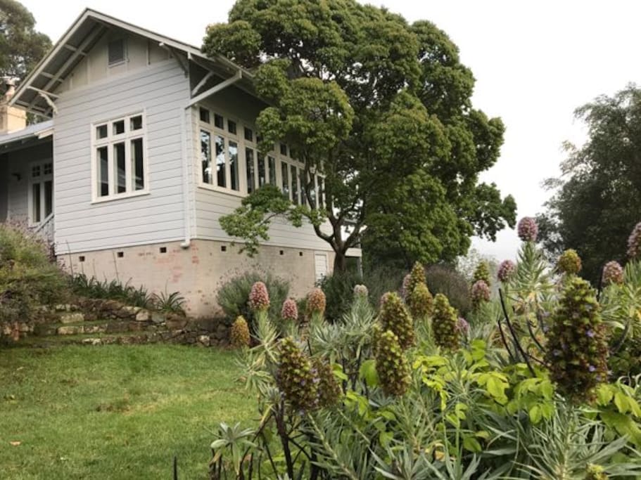 Homestead from the garden