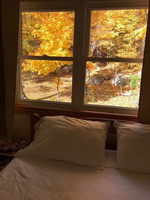 Wake up with your head in Fall colours