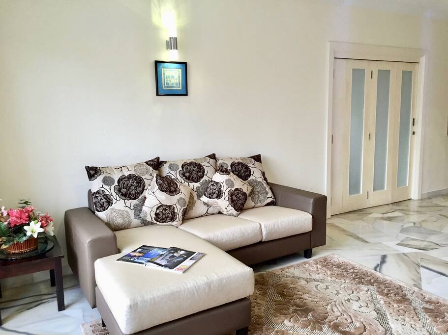 Living room sofa