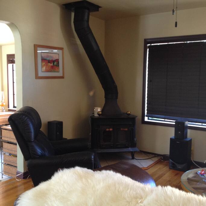 Wood burning stove