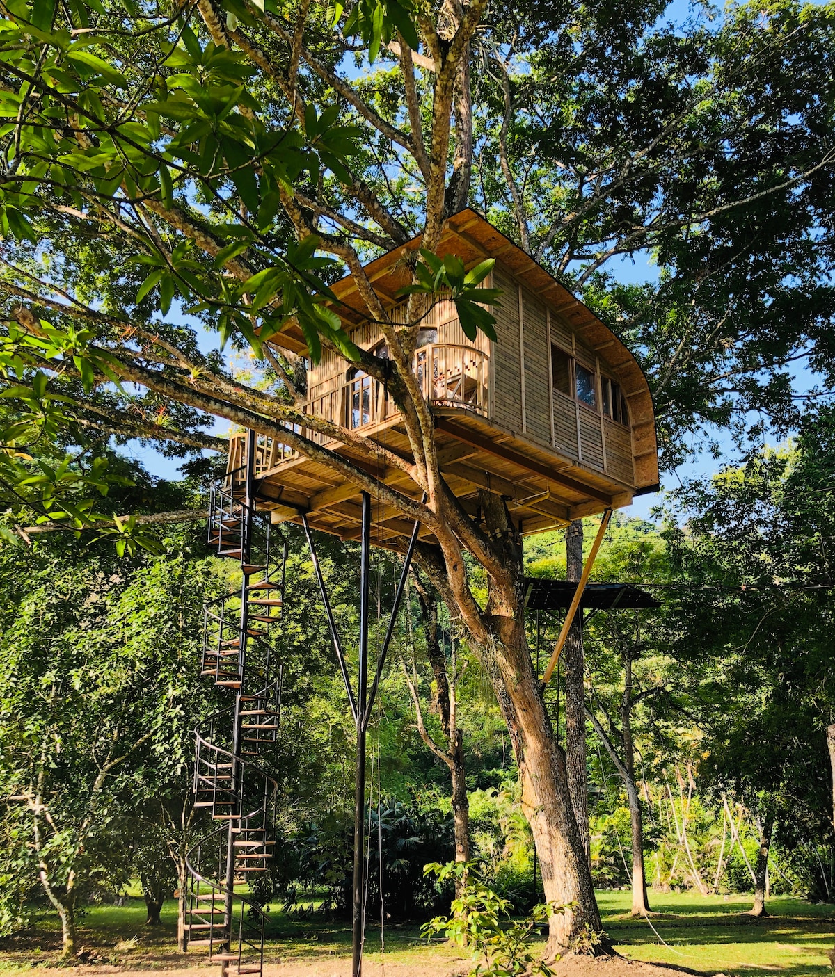 A tree house elevated on sturdy metal supports is nestled among lush greenery. Wooden balconies provide outdoor space, while the structure features slatted wooden walls and a curved roof. A spiral staircase leads from the ground to the entrance, enhancing accessibility.