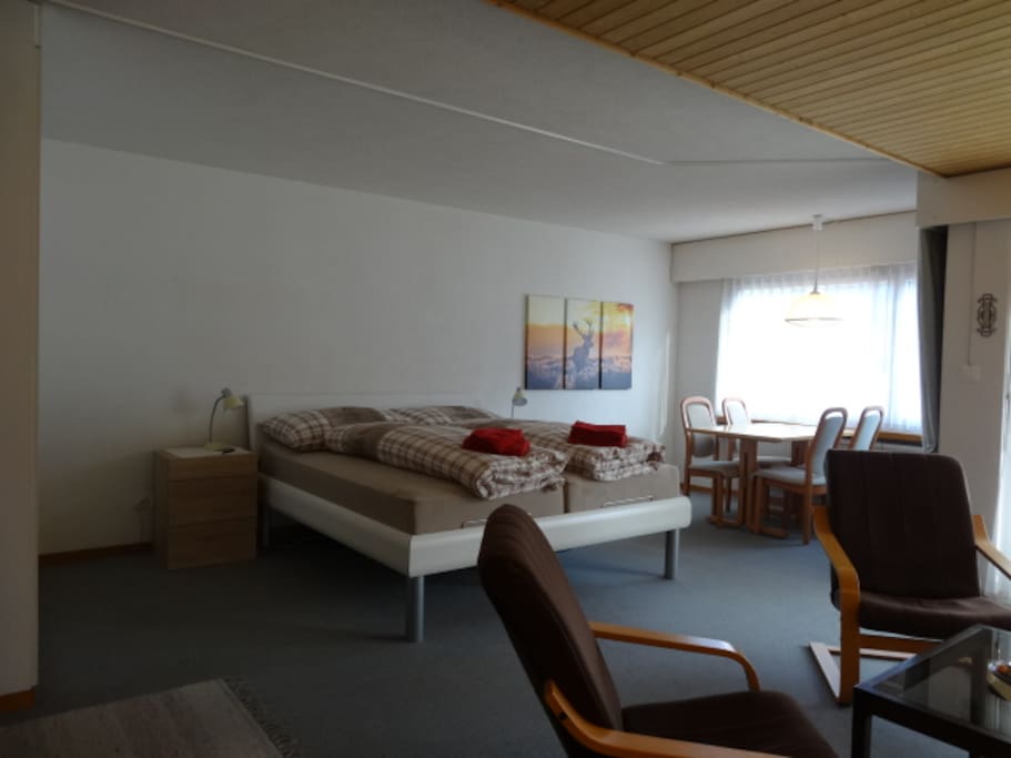 Wohn-Schlafzimmer