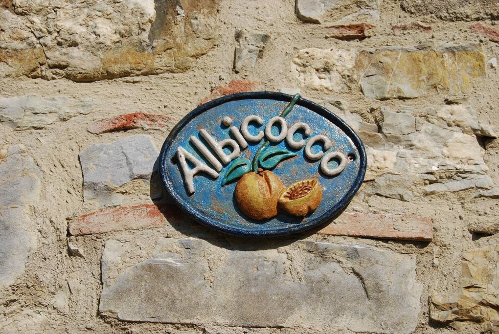 Our House Name